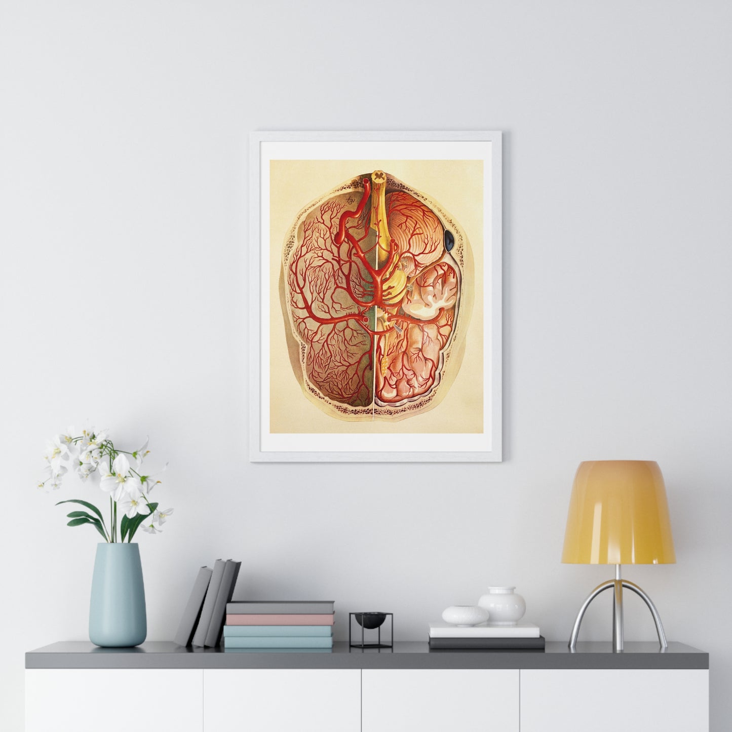 Brain Posterior View, Colour Lithograph by Brocades Great Britain, from the Original, Framed Art Print