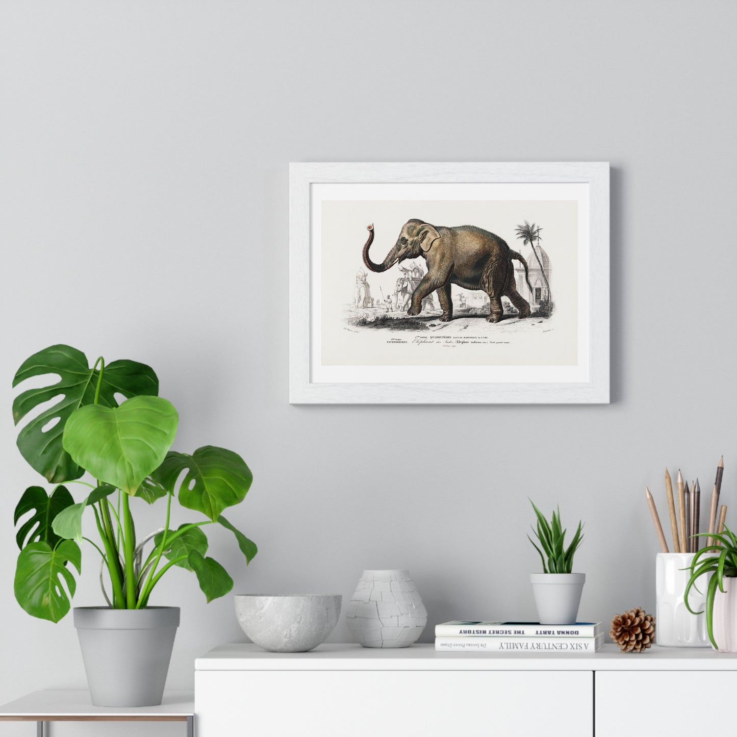 Asiatic Elephant 'Elephas Maximus' Illustration by Charles Dessalines D' Orbigny (1892) from the Original, Framed Print