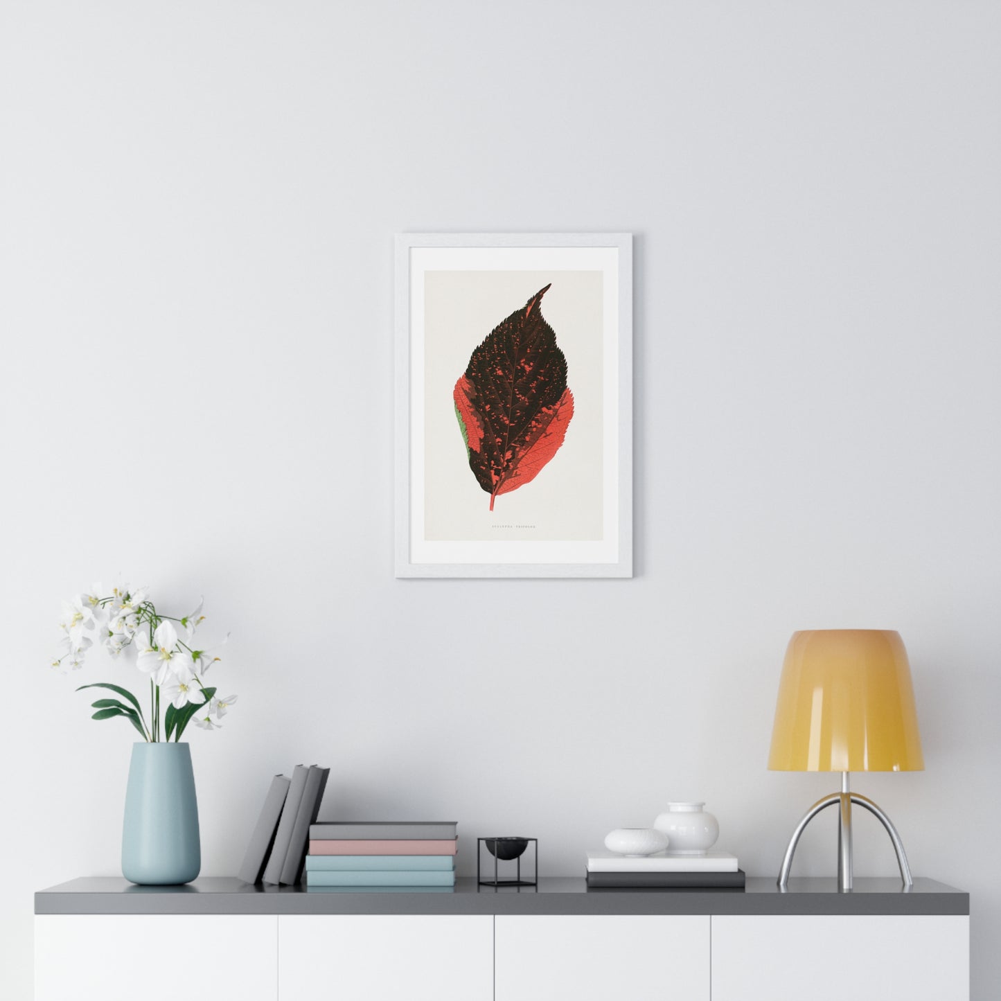 Acalypha Tricolor Leaf Illustration from the 1865 edition of 'Les Plantes à Feuillage Coloré' by Alexander Francis Lydon & Benjamin Fawsett