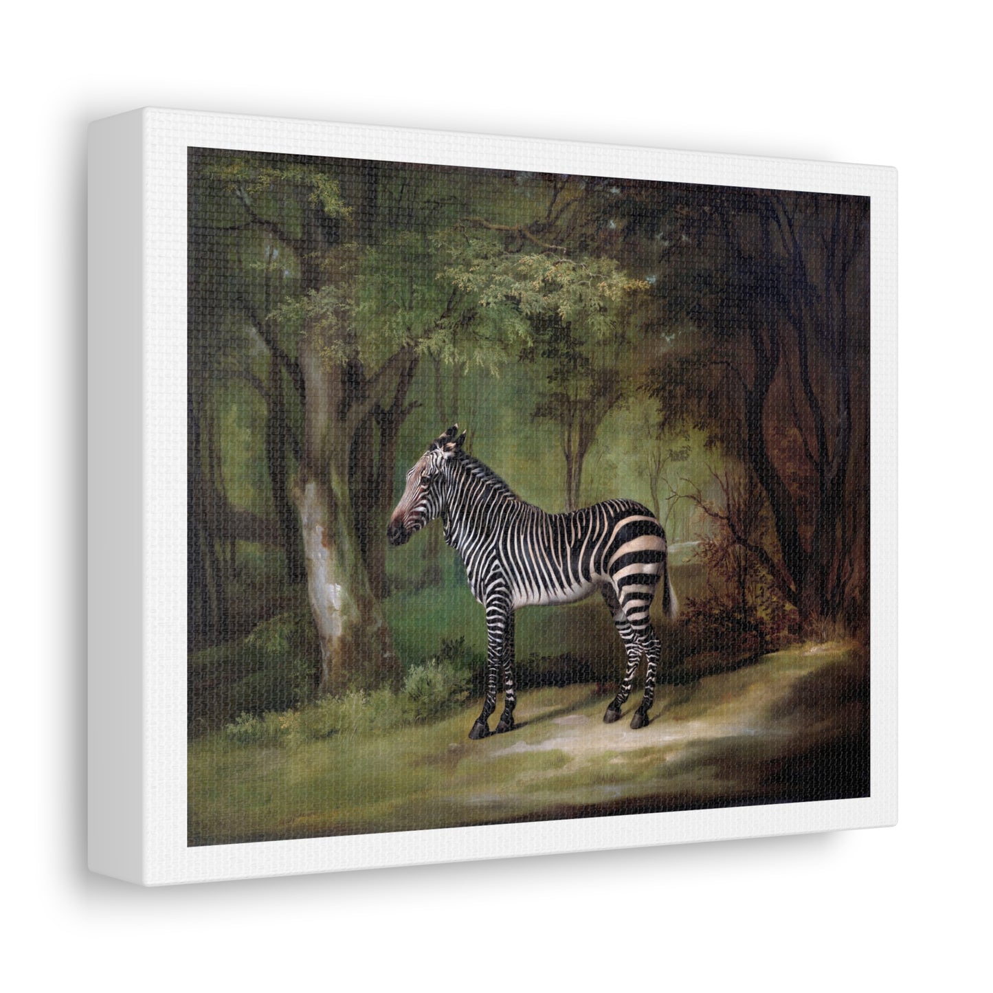 Zebra (1763) by George Stubbs, from the Original, Art Print on Canvas