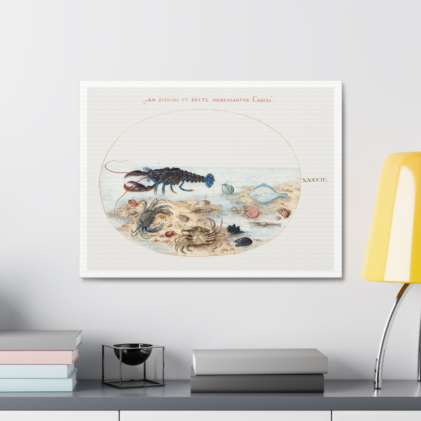 Lobster, Crabs, Scallop Shells and Other Sea Life (1575–1580) by Joris Hoefnagel, from the Original, Print on Canvas