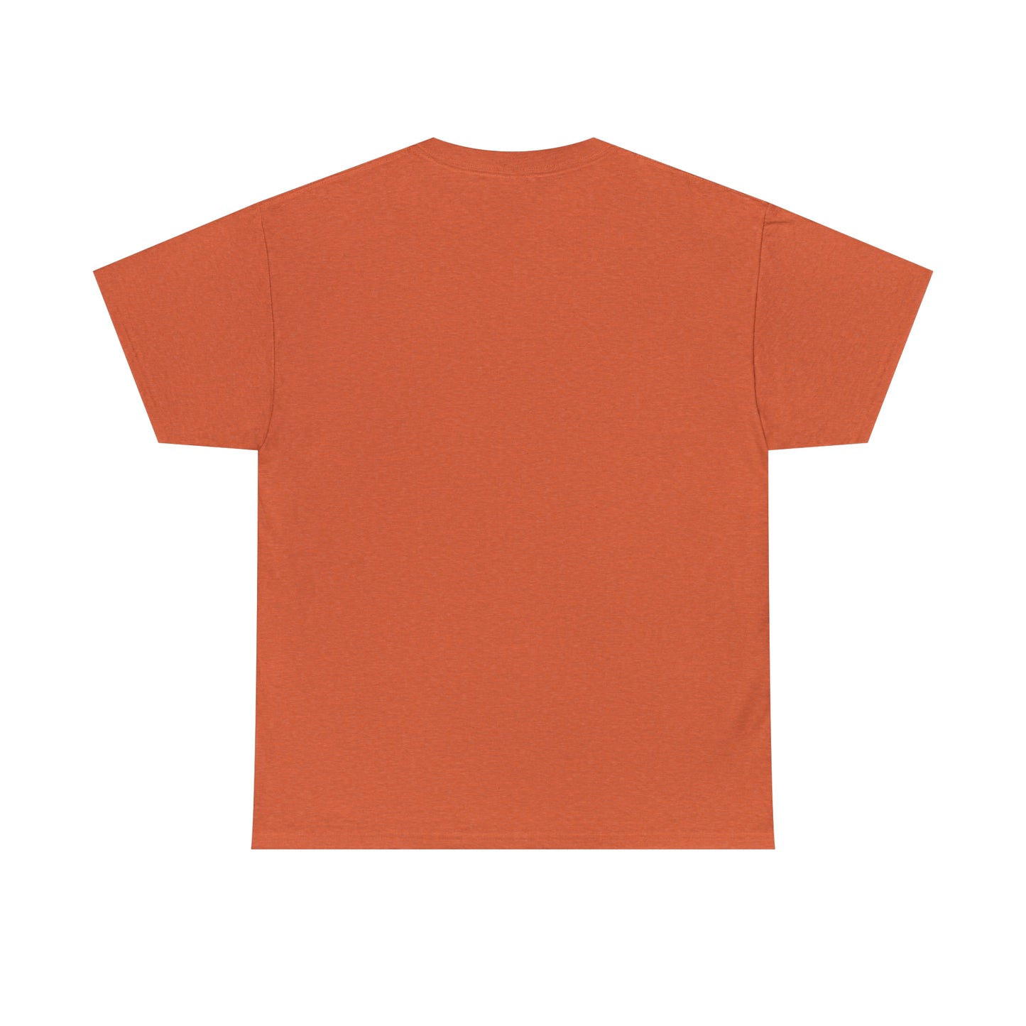 A Wise Man Does Not Lose His Way. A Brave Man Does Not Fear T-Shirt