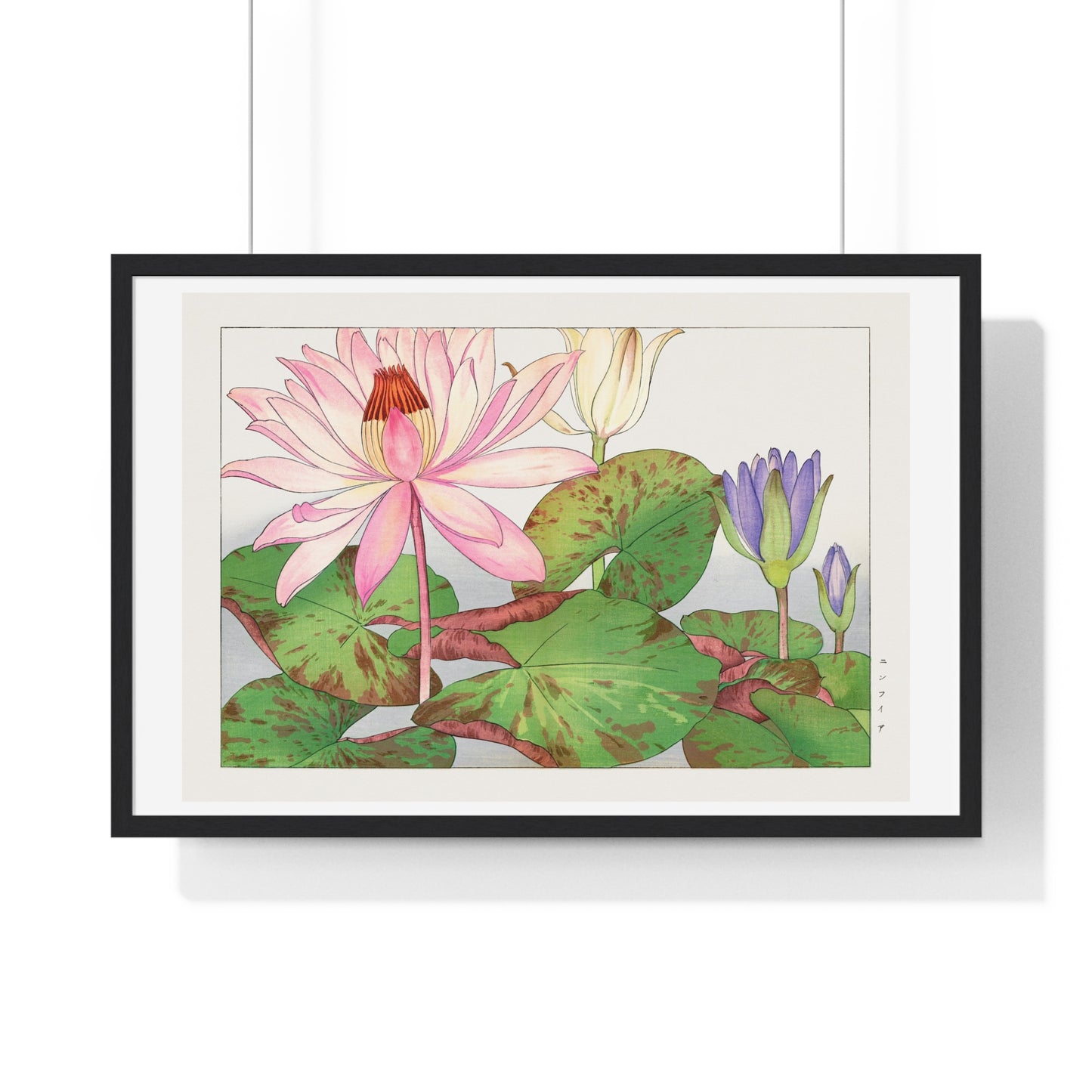 Japanese Woodblock Art, Nymphaea Lotus (1917) by Tanigami Kônan, from the Original, Framed Print