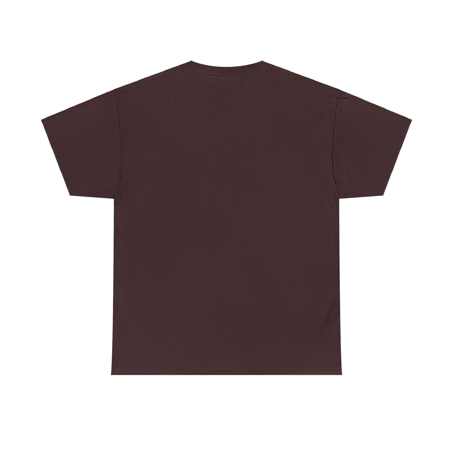 'Tis the Sameth Shit but Thine Day be Differ’nt' Funny Medieval Design T-Shirt