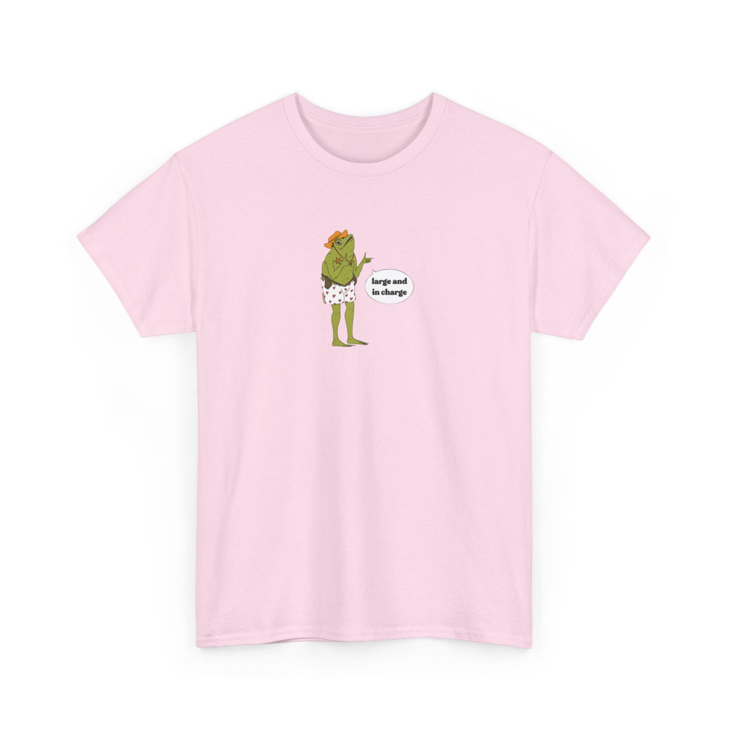 Large and In Charge, Funny Plus Size T-Shirt