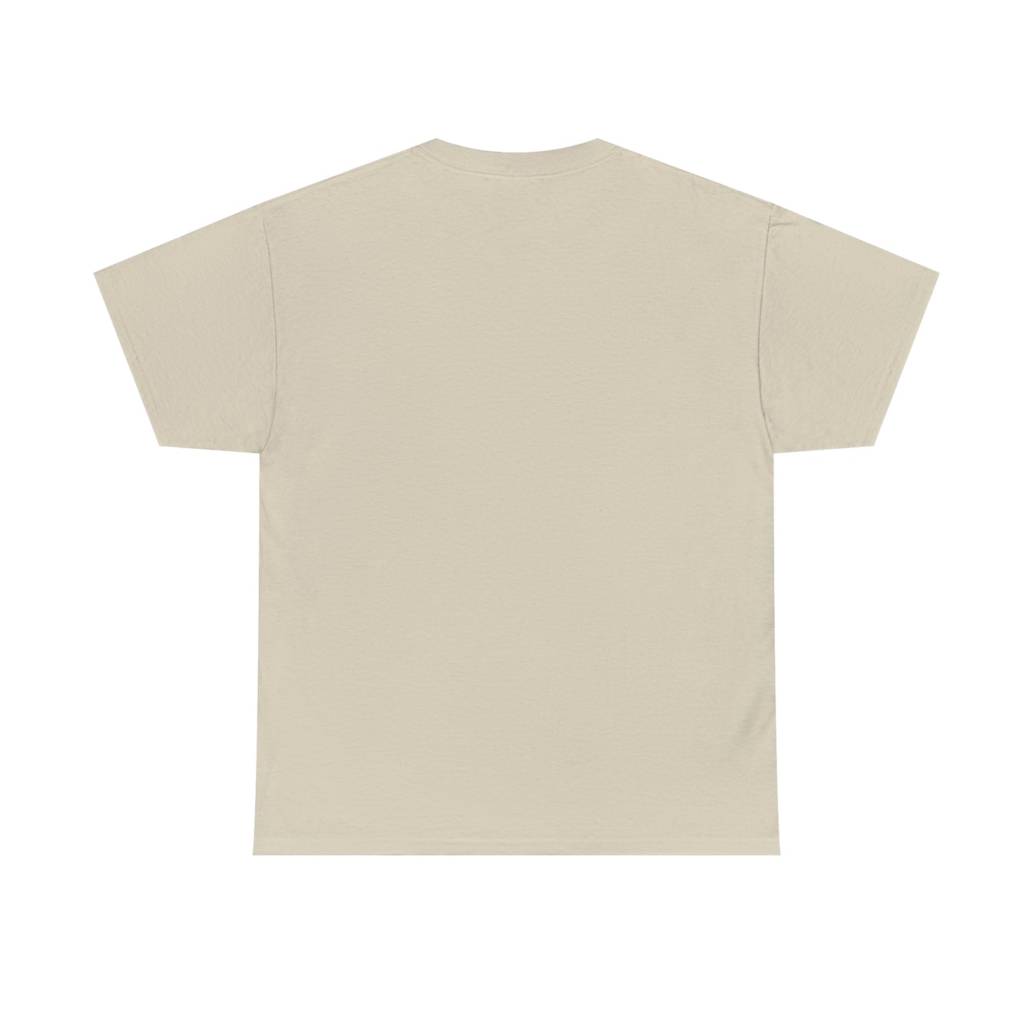A Wise Man Does Not Lose His Way. A Brave Man Does Not Fear T-Shirt