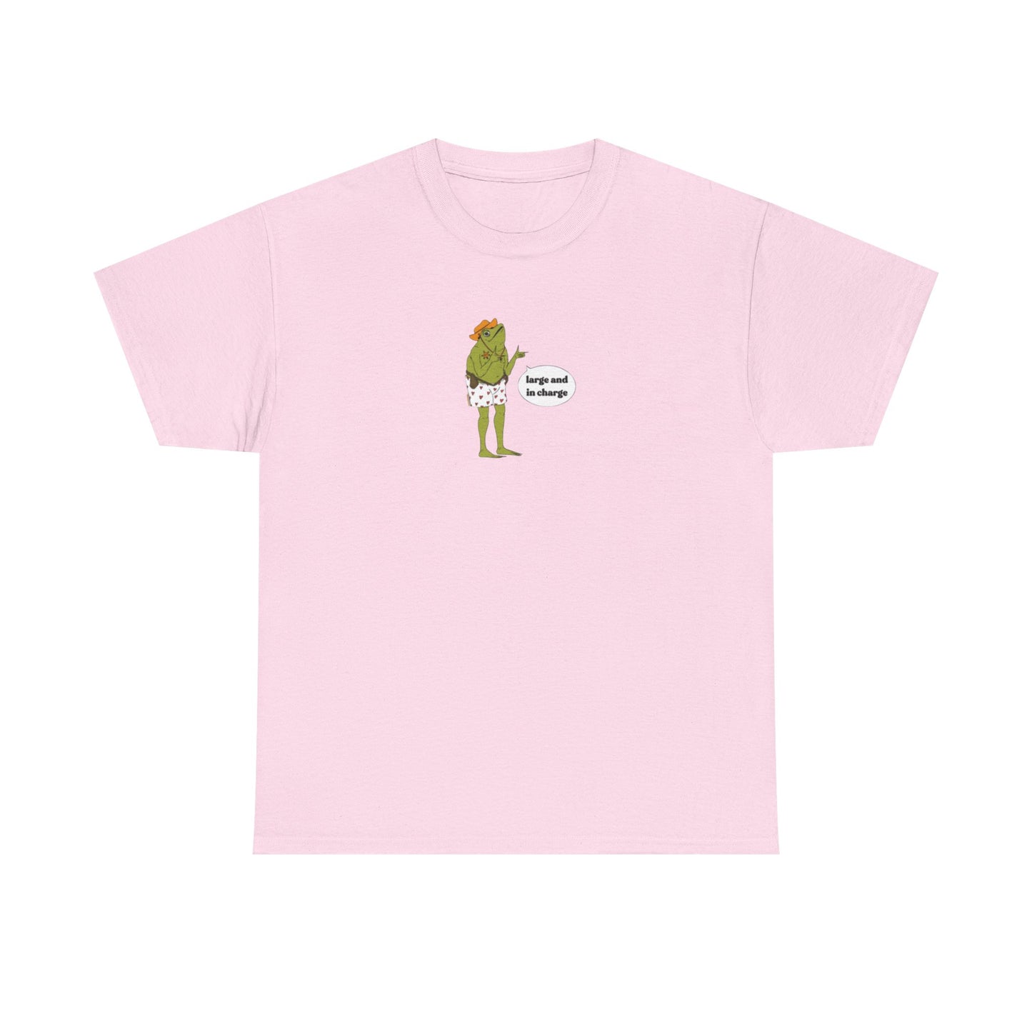 Large and In Charge, Funny Plus Size T-Shirt