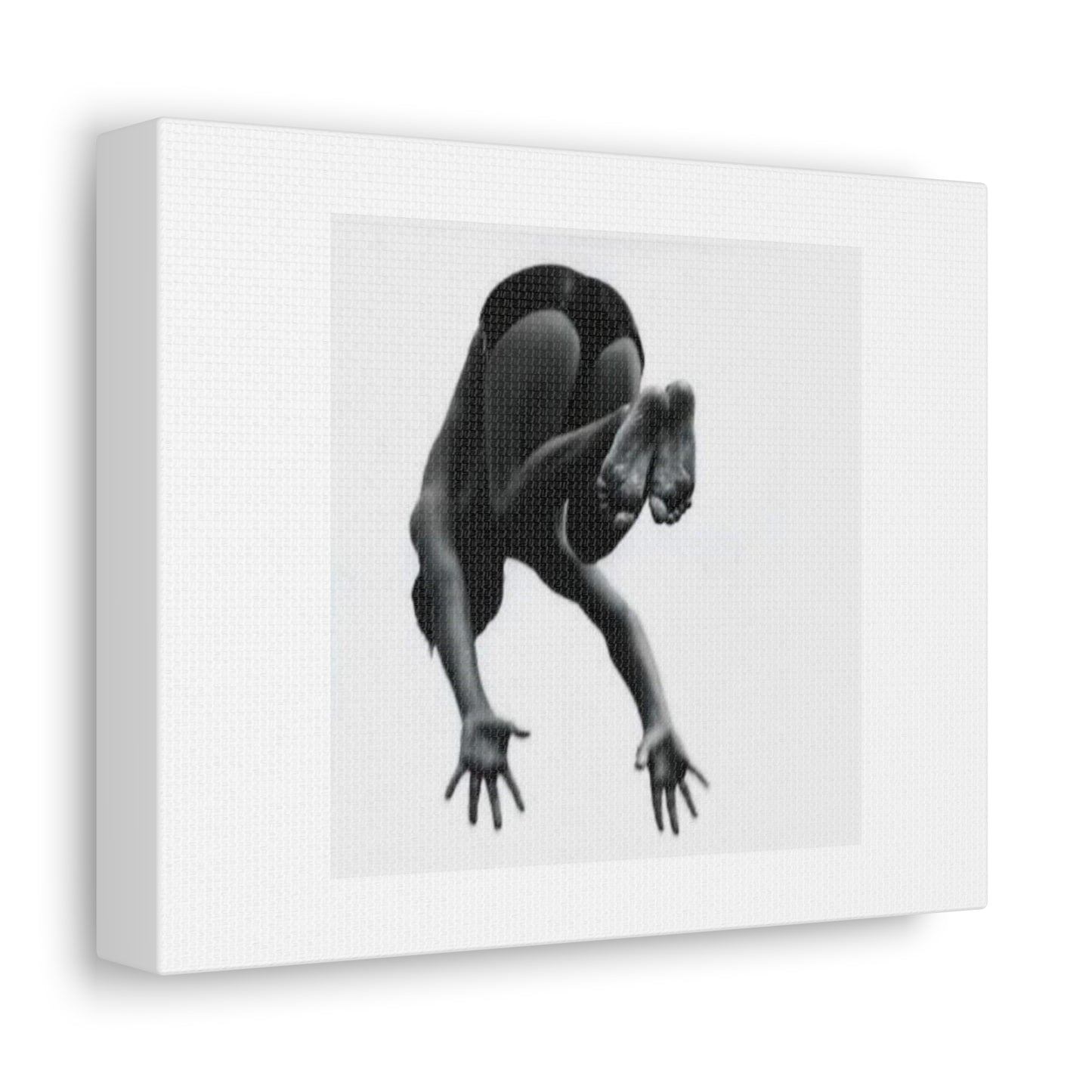 1960s Woman Diving Black & White Photographic Art Print on Satin Canvas