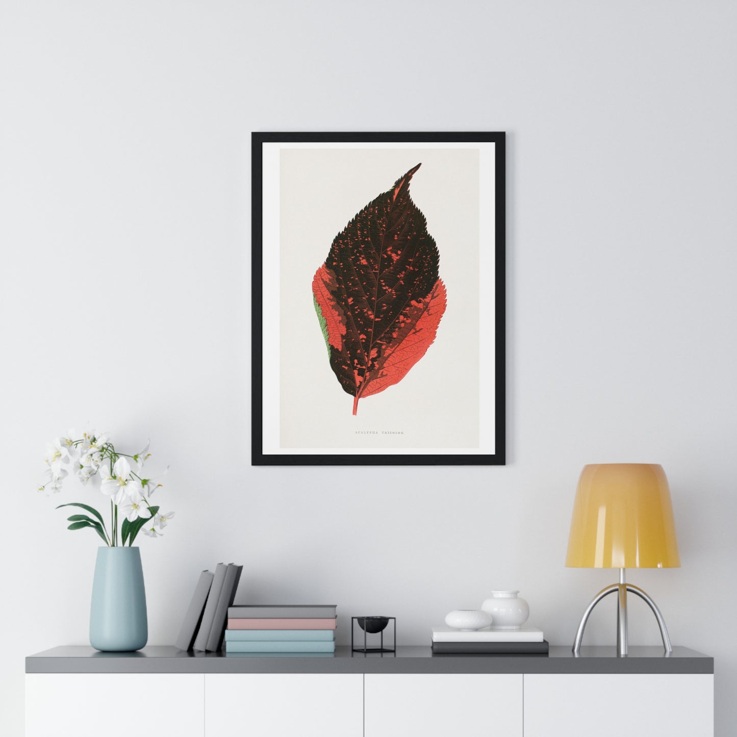 Acalypha Tricolor Leaf Illustration from the 1865 edition of 'Les Plantes à Feuillage Coloré' by Alexander Francis Lydon & Benjamin Fawsett
