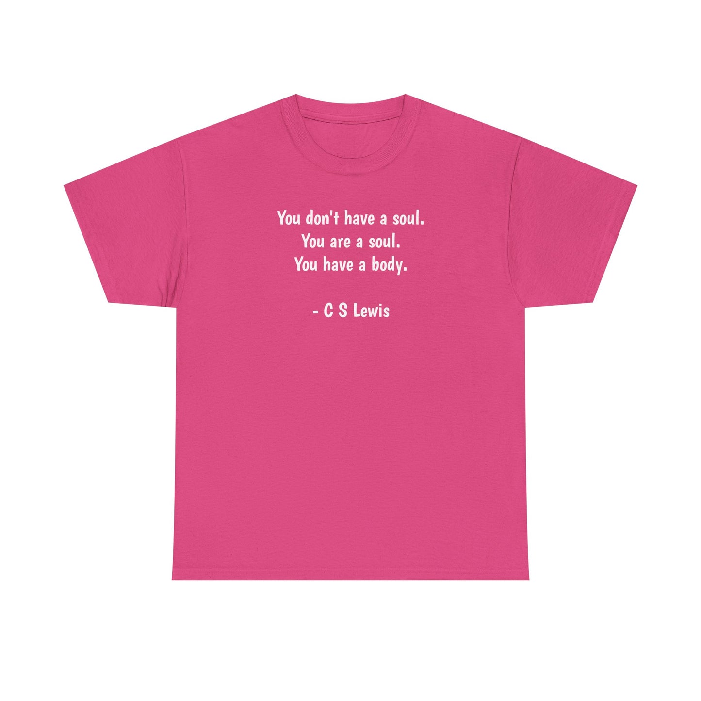 You Don't Have a Soul, You are a Soul, You Have a Body, Spiritual T-Shirt