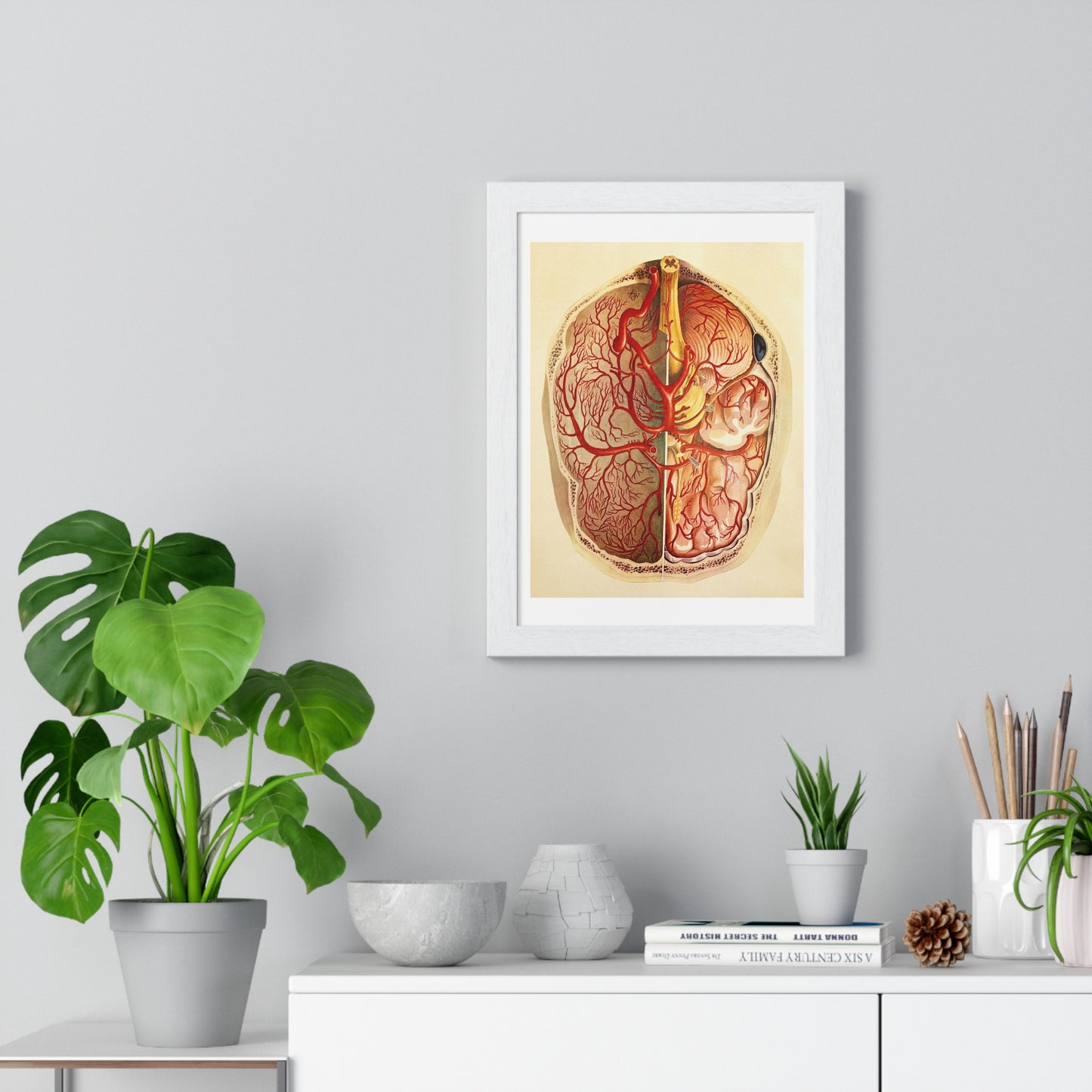 Brain Posterior View, Colour Lithograph by Brocades Great Britain, from the Original, Framed Art Print