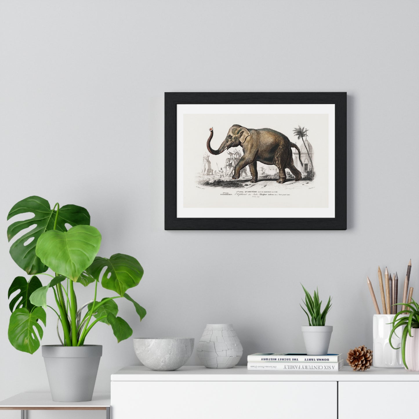 Asiatic Elephant 'Elephas Maximus' Illustration by Charles Dessalines D' Orbigny (1892) from the Original, Framed Print