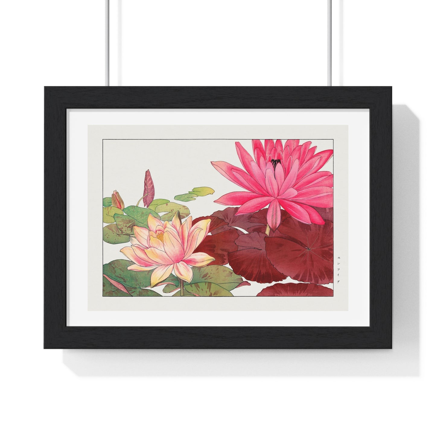 Japanese Woodblock Art, Nymphaea Lotus (1917) by Tanigami Kônan, from the Original, Framed Print