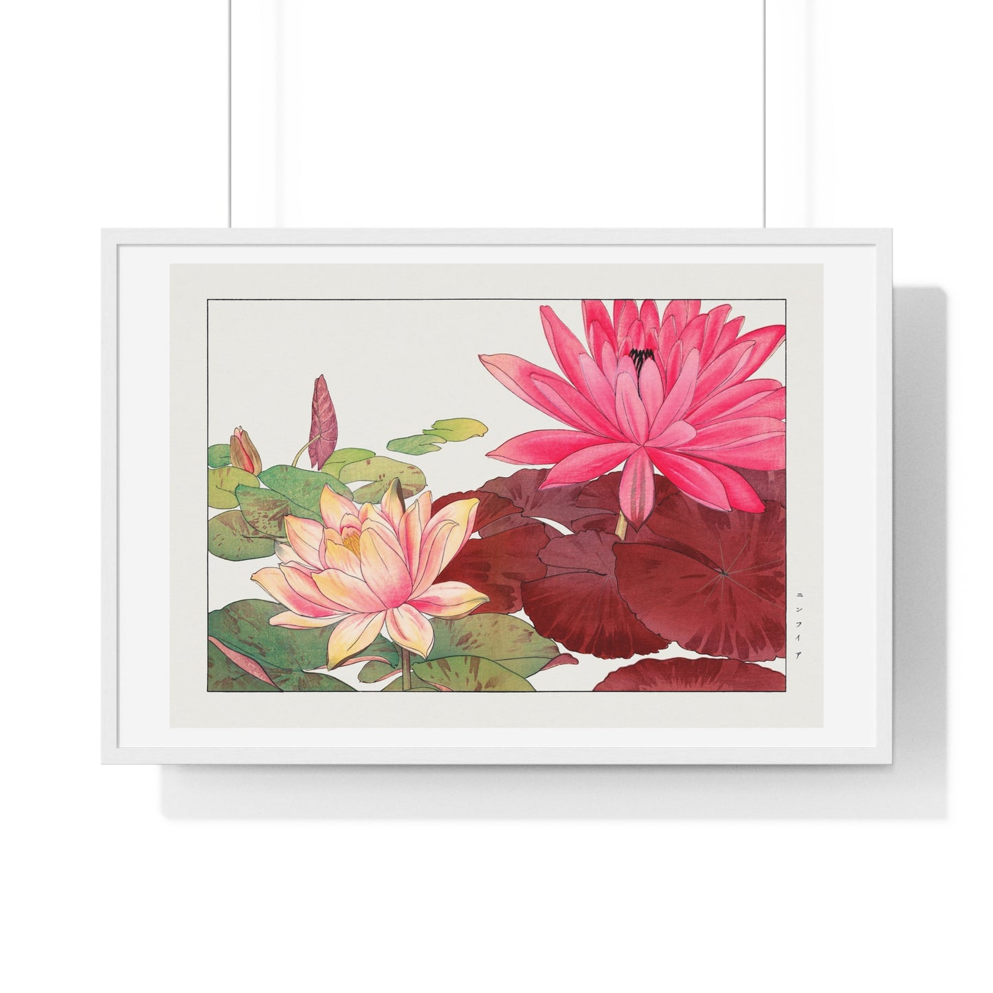 Japanese Woodblock Art, Nymphaea Lotus (1917) by Tanigami Kônan, from the Original, Framed Print