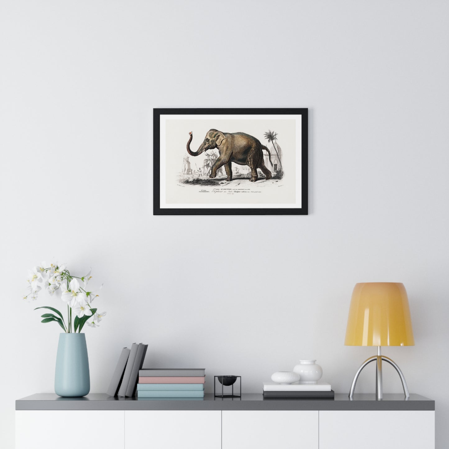 Asiatic Elephant 'Elephas Maximus' Illustration by Charles Dessalines D' Orbigny (1892) from the Original, Framed Print