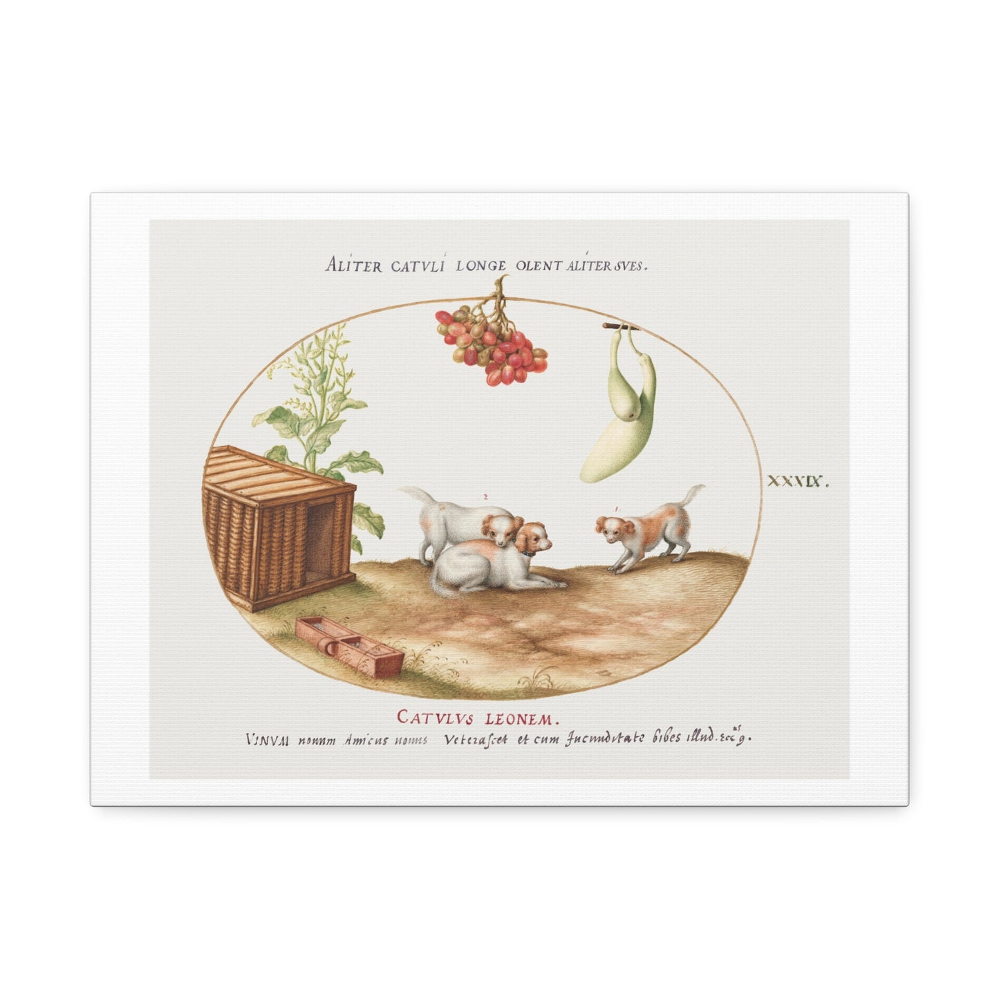 Three Puppies with a Crate and a Bunch of Grapes (1575–1580) by Joris Hoefnagel, from the Original, Print on Canvas