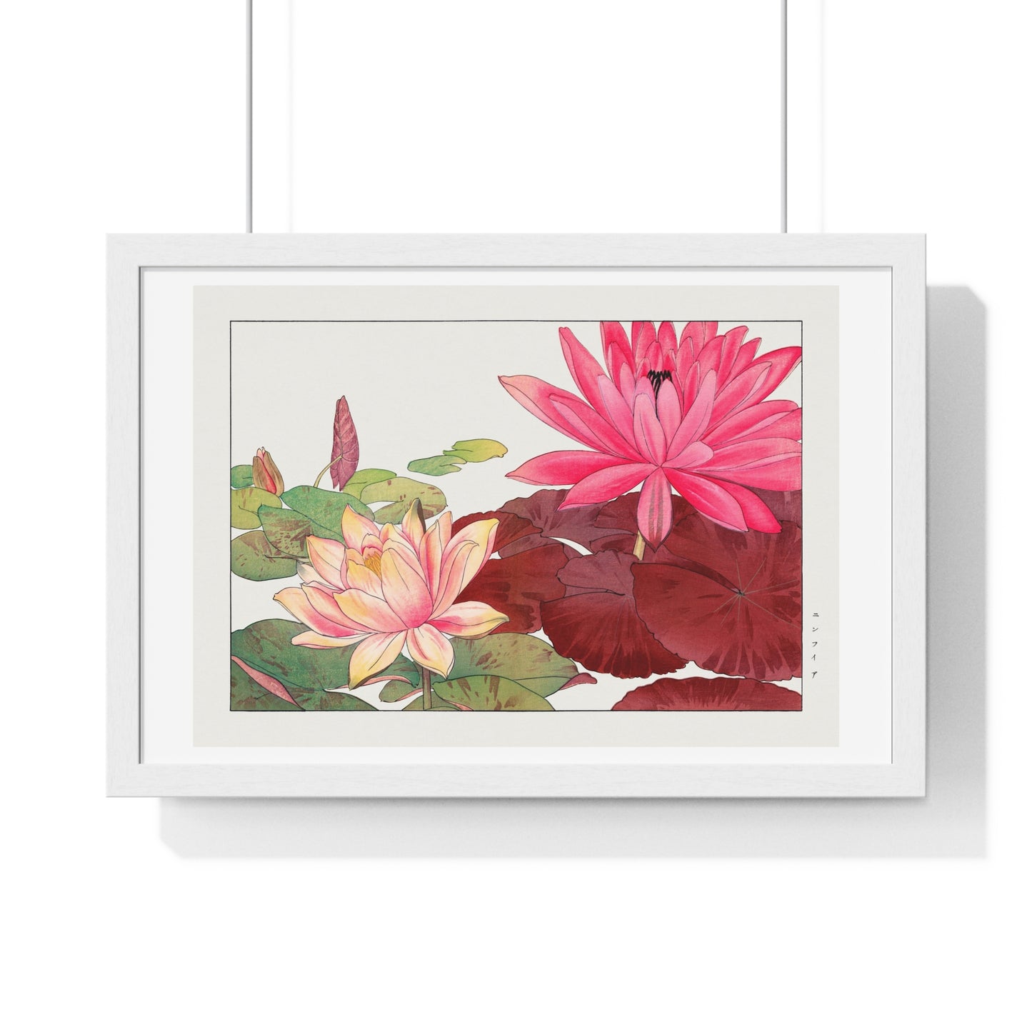Japanese Woodblock Art, Nymphaea Lotus (1917) by Tanigami Kônan, from the Original, Framed Print