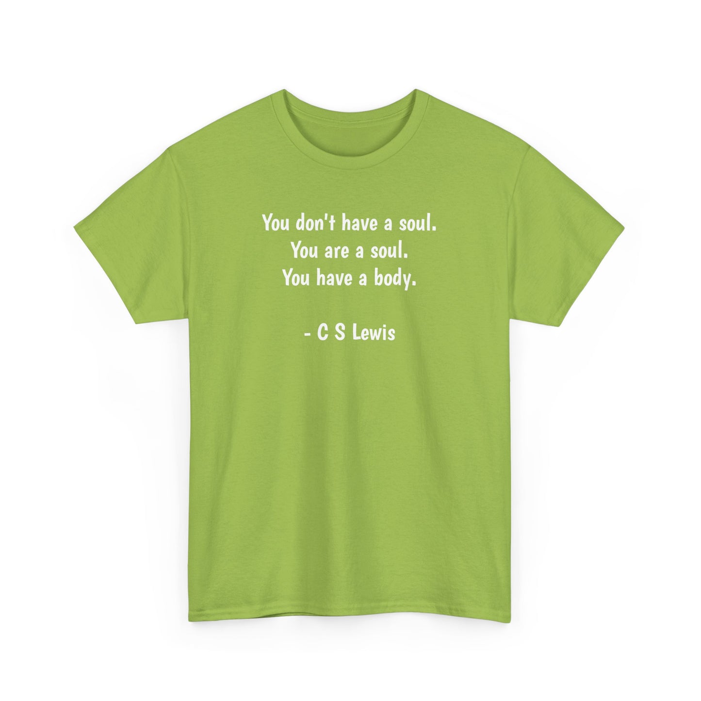 You Don't Have a Soul, You are a Soul, You Have a Body, Spiritual T-Shirt
