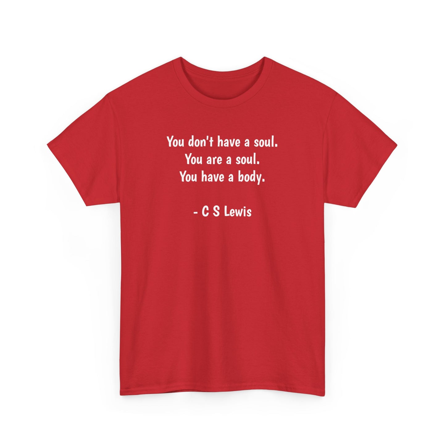 You Don't Have a Soul, You are a Soul, You Have a Body, Spiritual T-Shirt