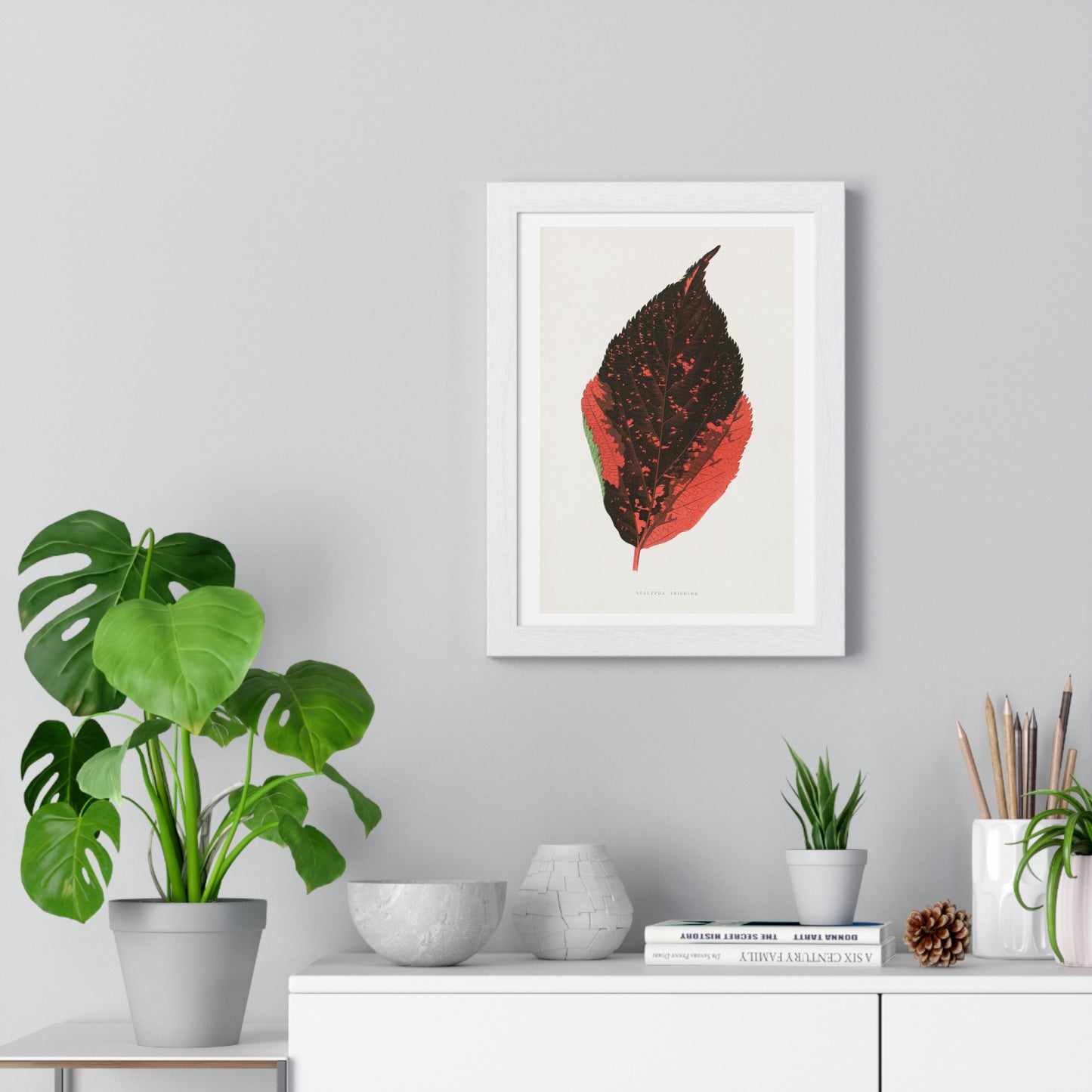 Acalypha Tricolor Leaf Illustration from the 1865 edition of 'Les Plantes à Feuillage Coloré' by Alexander Francis Lydon & Benjamin Fawsett