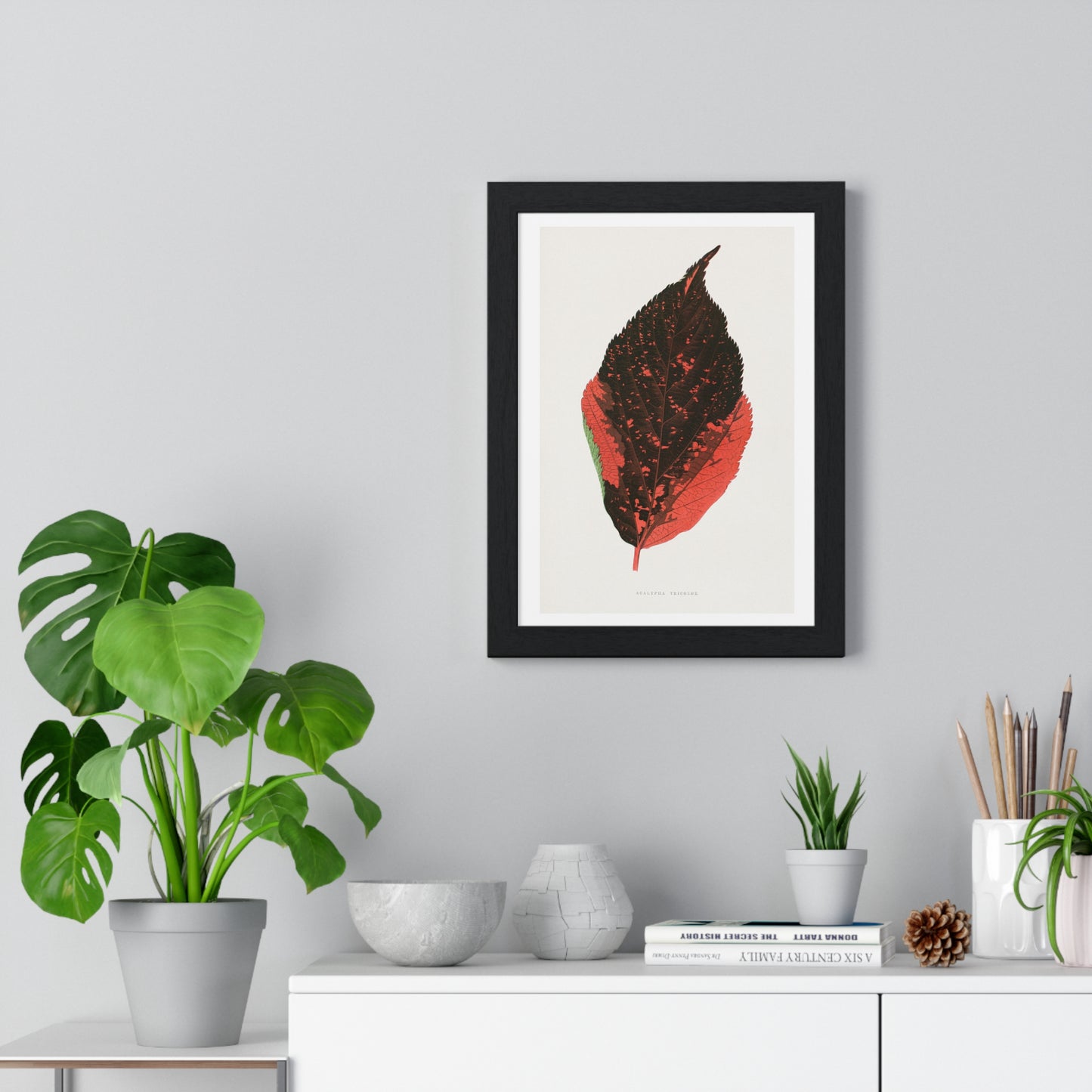 Acalypha Tricolor Leaf Illustration from the 1865 edition of 'Les Plantes à Feuillage Coloré' by Alexander Francis Lydon & Benjamin Fawsett