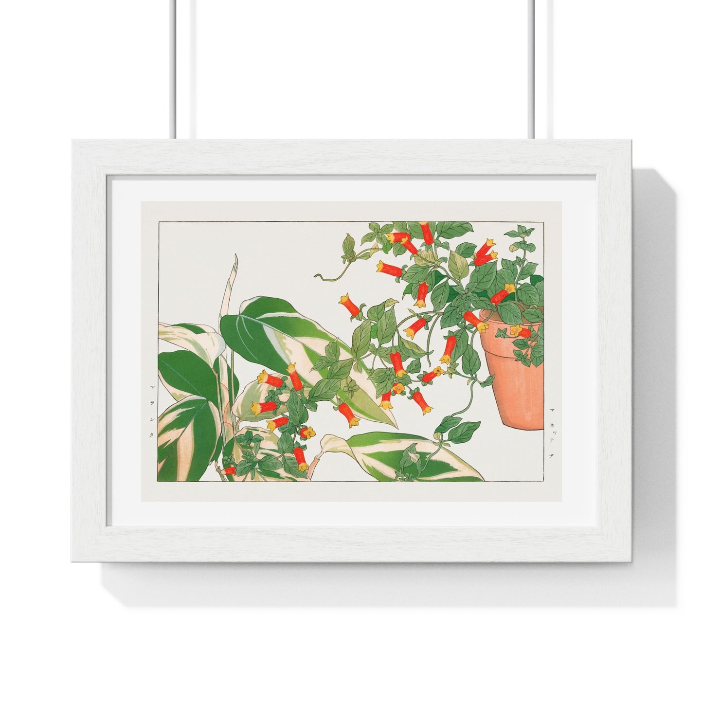 Maranta and Manettia Flower (1917) Japanese Woodblock Art by Kônan Tanigami, from the Original, Framed Art Print