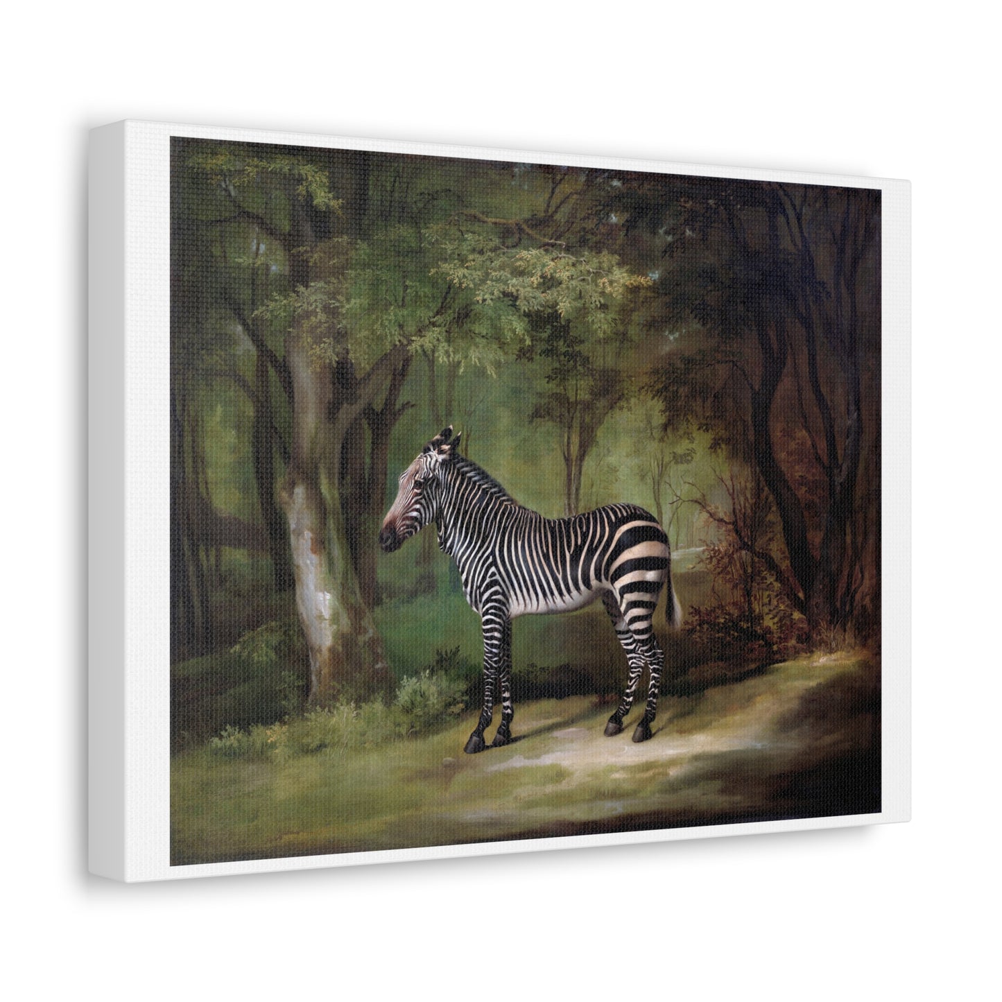 Zebra (1763) by George Stubbs, from the Original, Art Print on Canvas