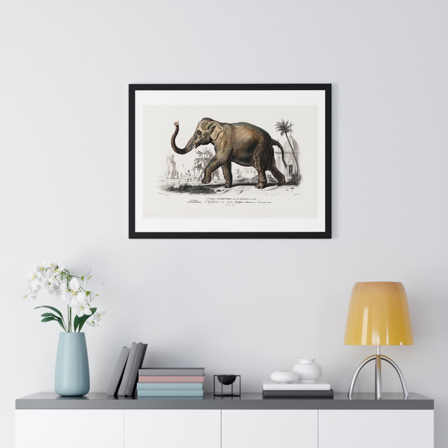 Asiatic Elephant 'Elephas Maximus' Illustration by Charles Dessalines D' Orbigny (1892) from the Original, Framed Print