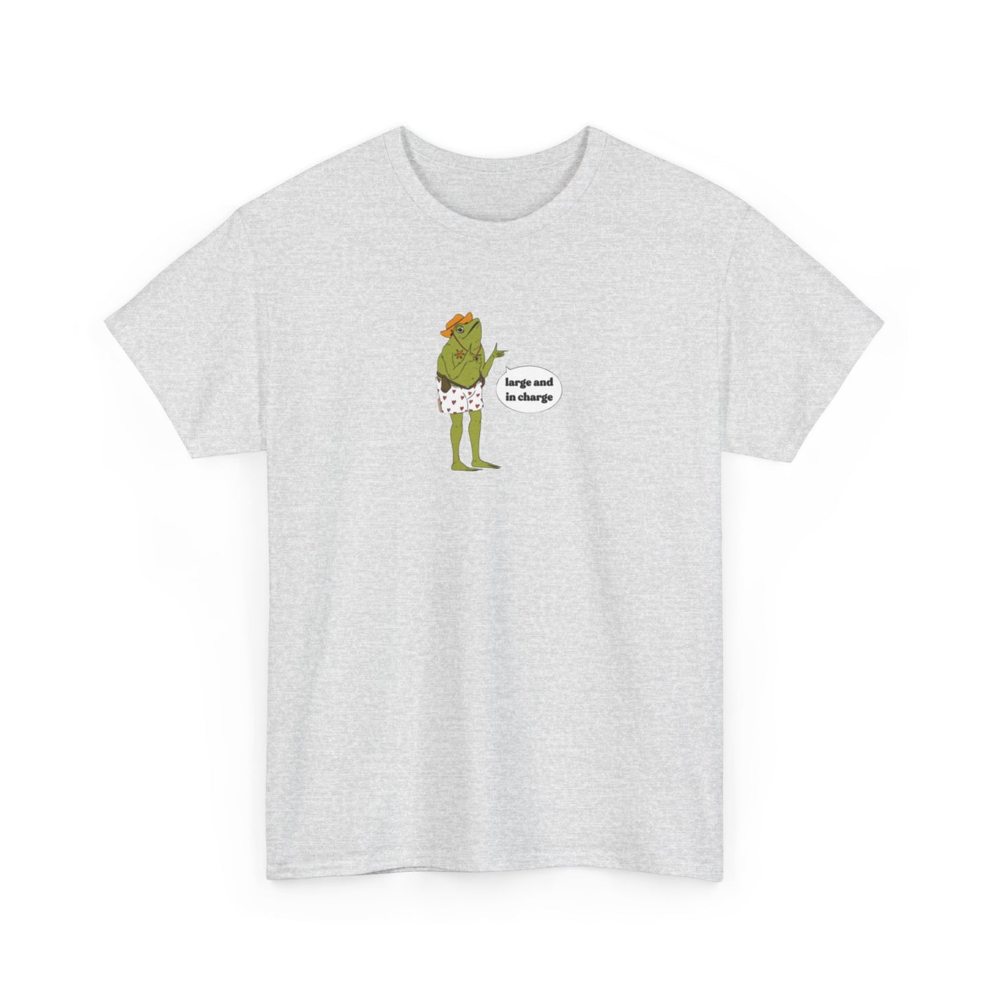 Large and In Charge, Funny Plus Size T-Shirt