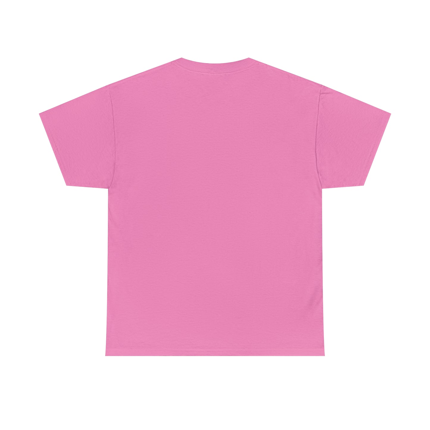 A Wise Man Does Not Lose His Way. A Brave Man Does Not Fear T-Shirt