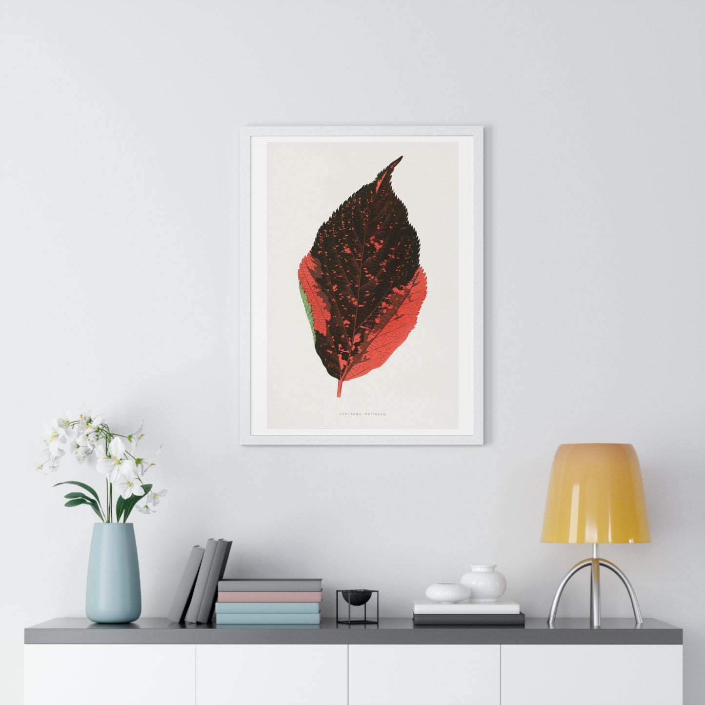 Acalypha Tricolor Leaf Illustration from the 1865 edition of 'Les Plantes à Feuillage Coloré' by Alexander Francis Lydon & Benjamin Fawsett