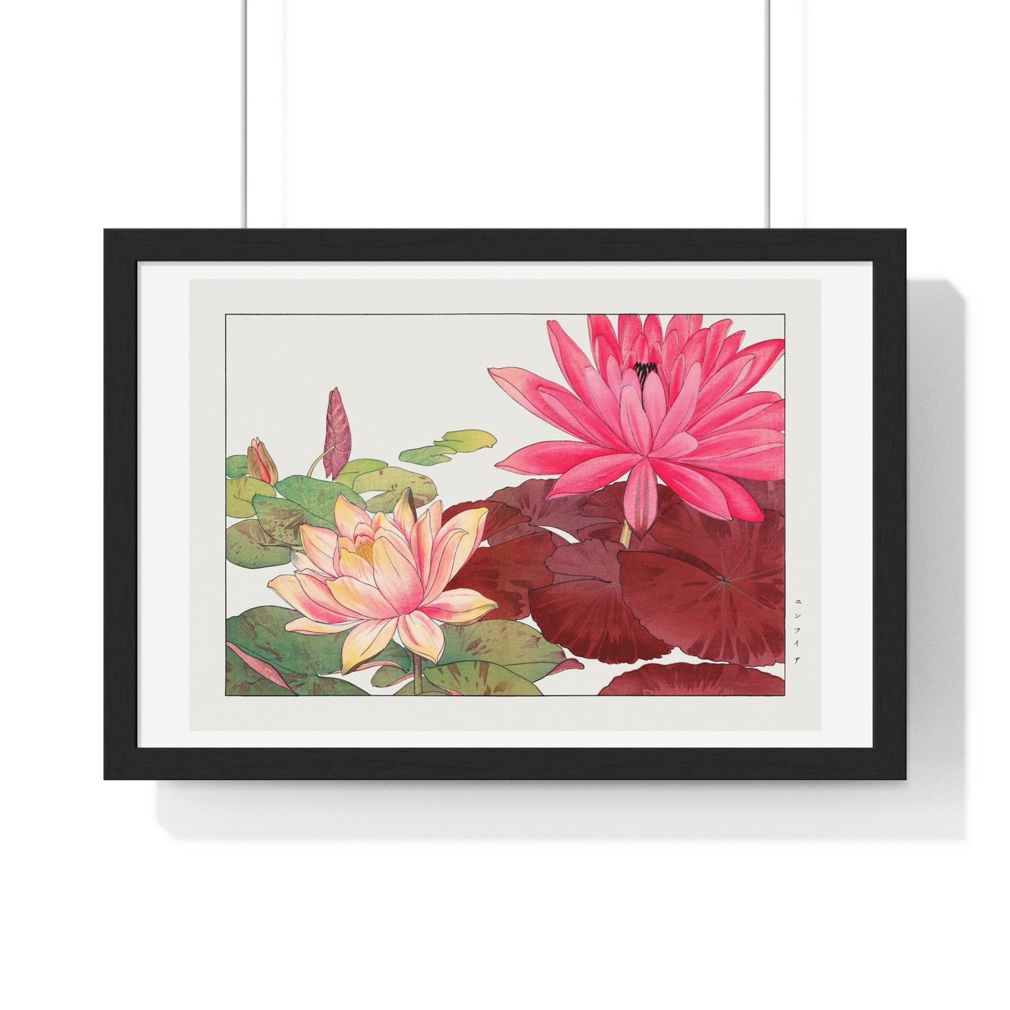Japanese Woodblock Art, Nymphaea Lotus (1917) by Tanigami Kônan, from the Original, Framed Print