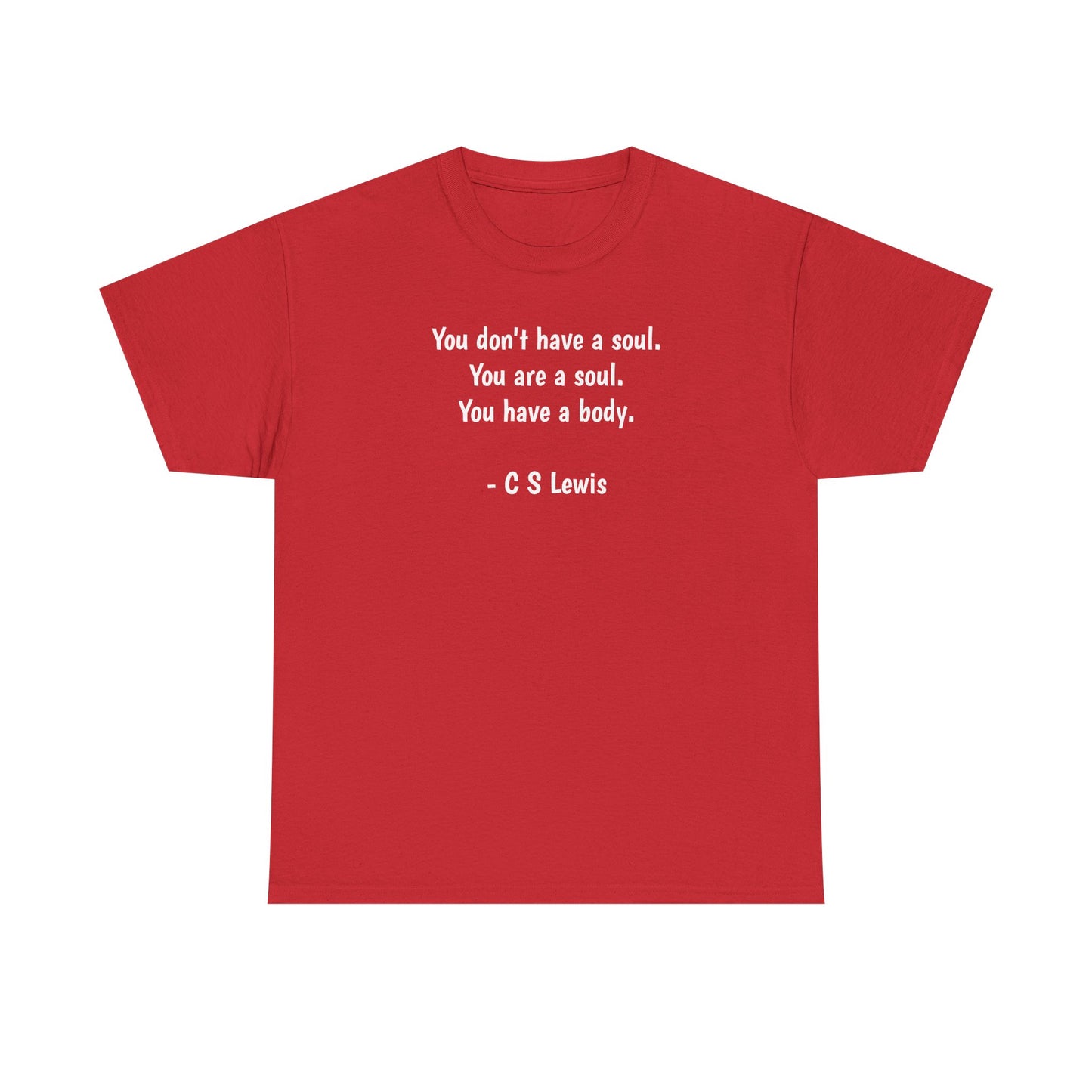 You Don't Have a Soul, You are a Soul, You Have a Body, Spiritual T-Shirt