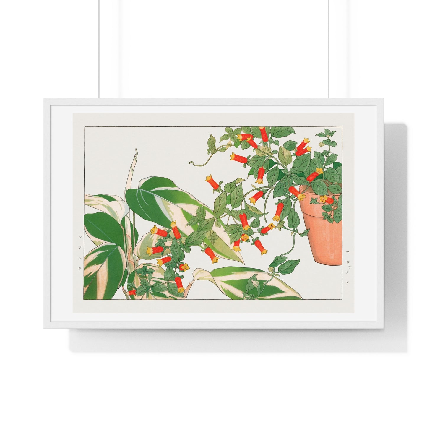 Maranta and Manettia Flower (1917) Japanese Woodblock Art by Kônan Tanigami, from the Original, Framed Art Print