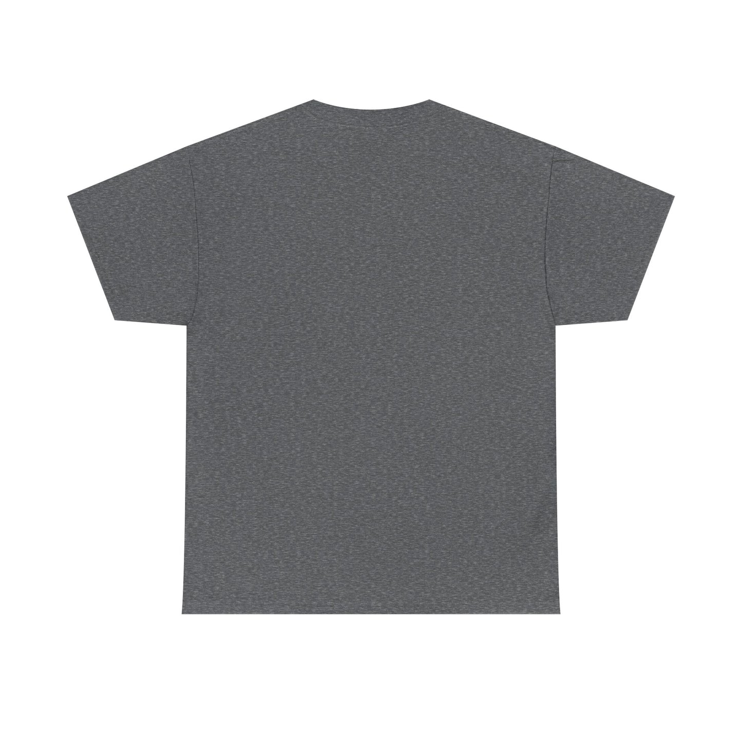Sustainable Communism, Rainbow Swastika, Climate Scam T-Shirt