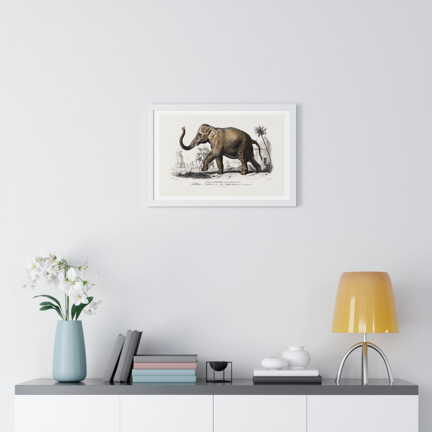 Asiatic Elephant 'Elephas Maximus' Illustration by Charles Dessalines D' Orbigny (1892) from the Original, Framed Print