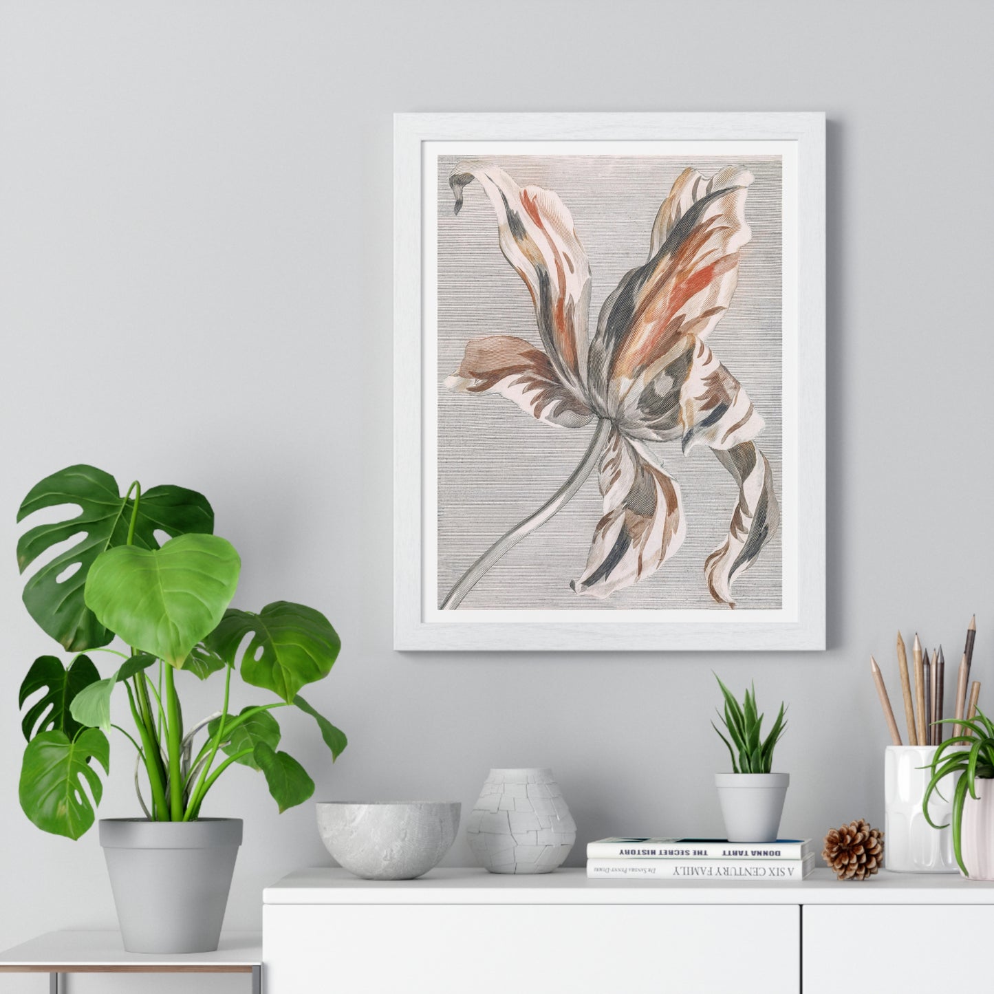 A Tulip by Johan Teyler (1648-1709), from the Original, Framed Art Print
