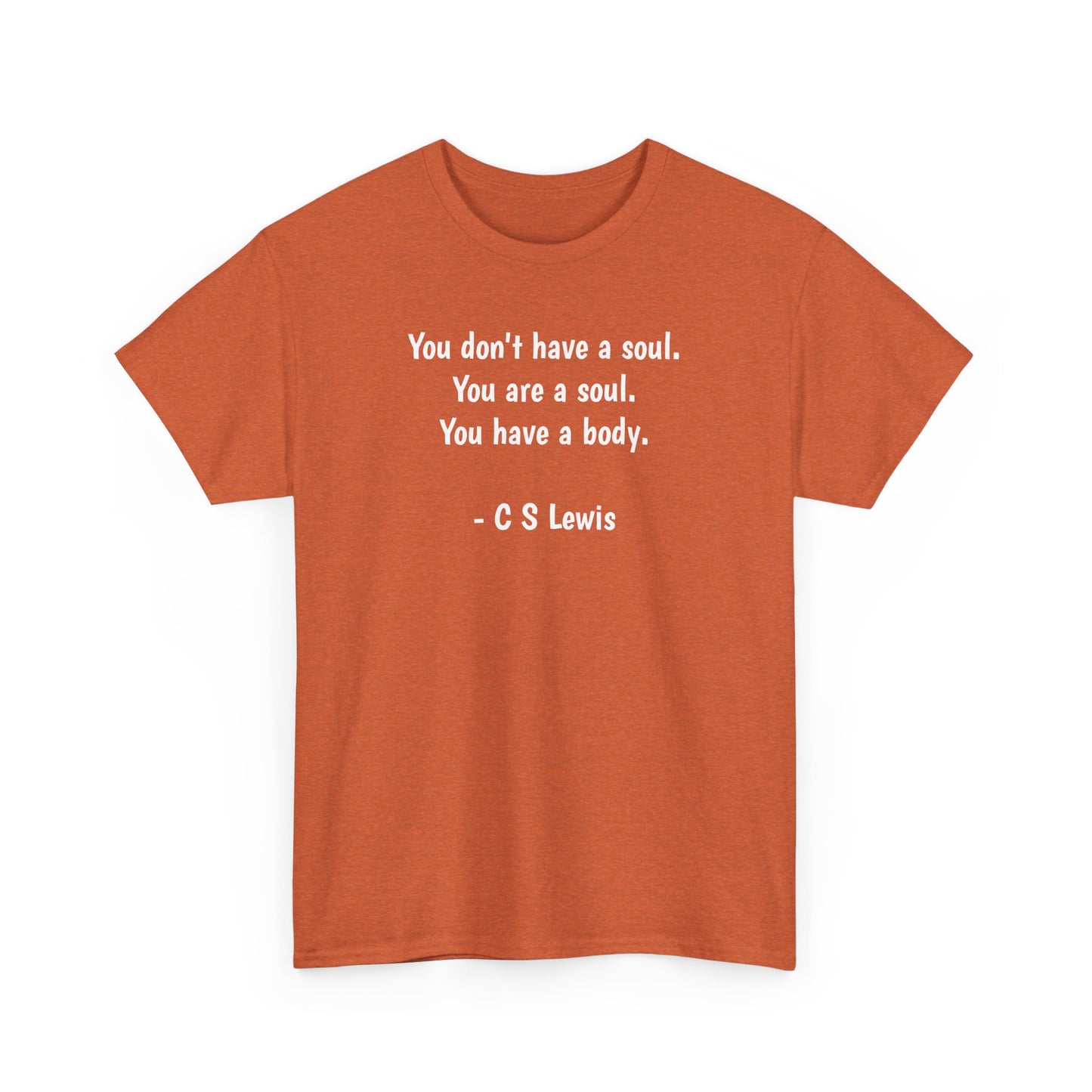 You Don't Have a Soul, You are a Soul, You Have a Body, Spiritual T-Shirt