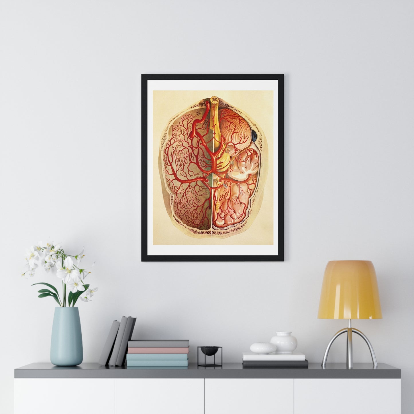 Brain Posterior View, Colour Lithograph by Brocades Great Britain, from the Original, Framed Art Print