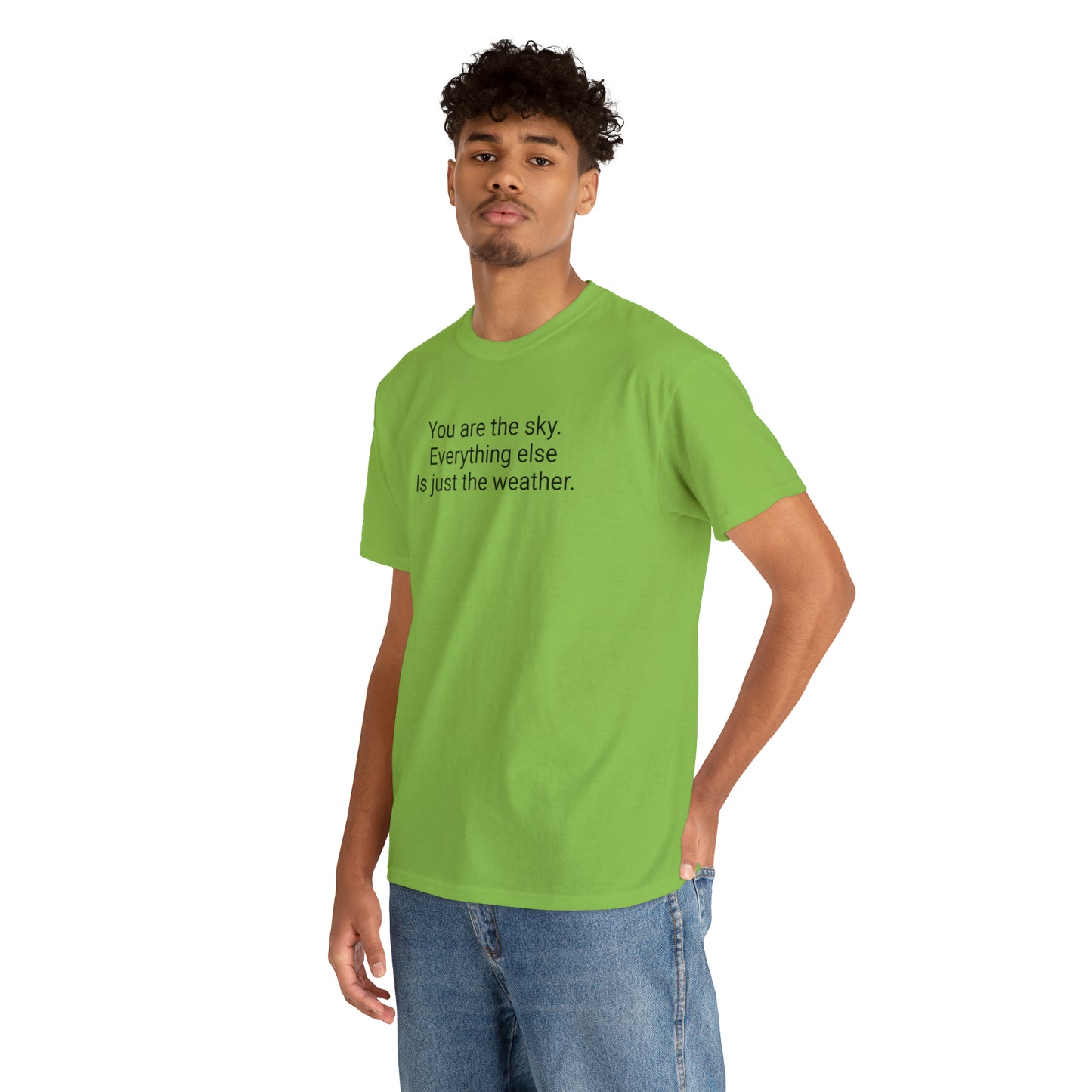 'You Are The Sky, Everything Else Is Just The Weather' T-Shirt