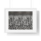 Vintage Photography of Woodstock (1970) Crowd Cheering, from the Original, Framed Print