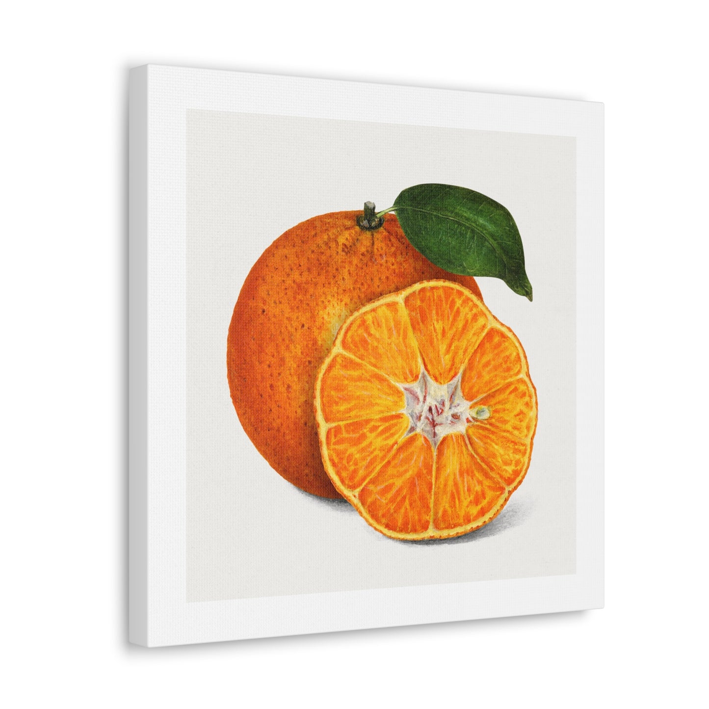 Delicious Orange Tangerine Illustration, Artist Unknown, Art Print on Canvas