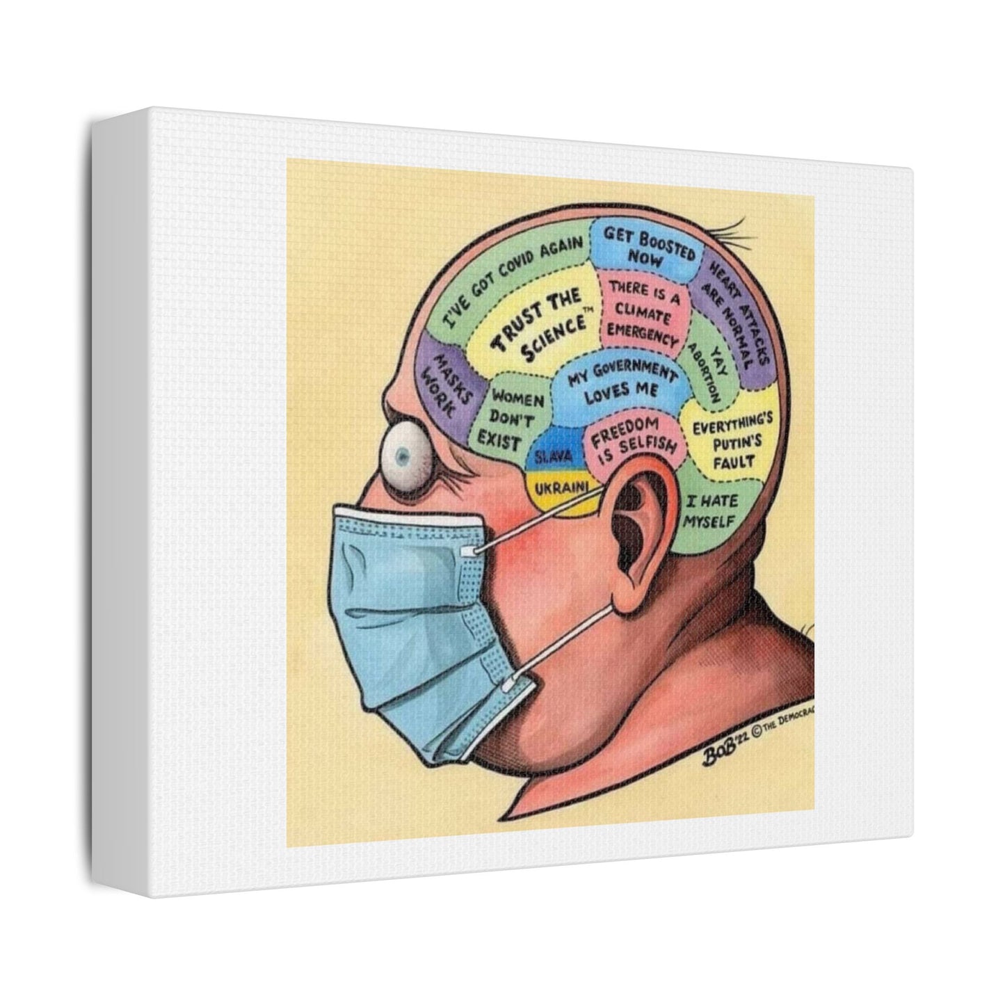 Phrenology of the Woke Mind Virus, Funny Meme Art Print on Canvas