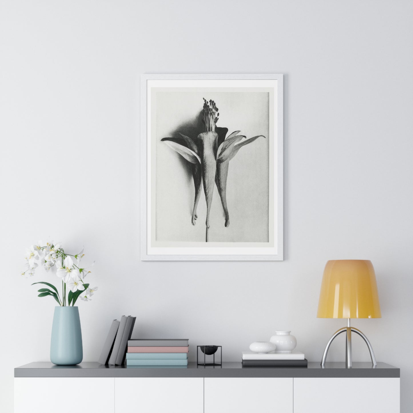 Aquilegia Chrysantha 'Golden Columbine' Enlarged Six times from Urformen der Kunst (1928) by Karl Blossfeldt, rom the Original, Framed Print