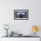 Man in the Energetic Realm, Abstract Art 'Designed by AI' Framed Print