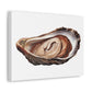 Jewellery Oyster Clam Invertebrate Art Print on Satin Canvas, Stretched