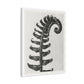 Polystichum Munitum (Prickly Shield Fern) Enlarged Six Times from 'Urformen der Kunst' (1928) by Karl Blossfeldt, Art Print from the Original, on Canvas