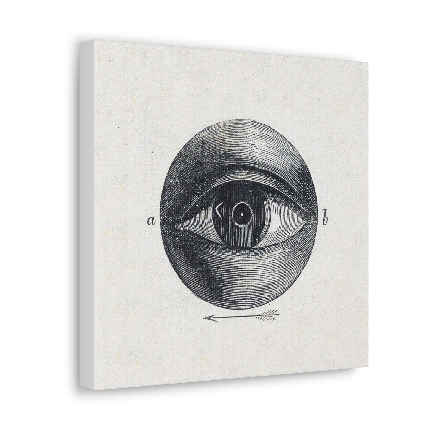 Menselijk Oog met een Afwijking 'Human Eye with an Abnormality' (1836–1912 by Isaac Weissenbruch, Art Print from the Original on Canvas