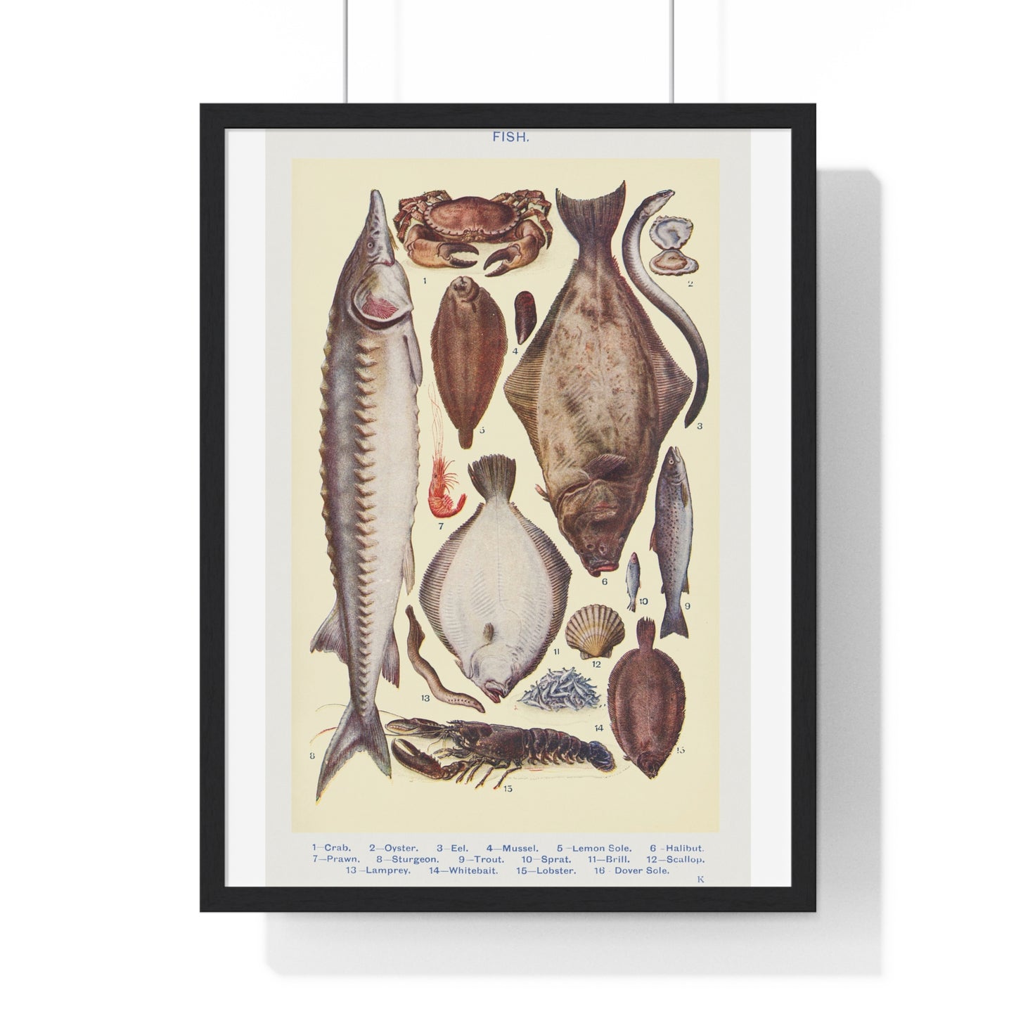 Vintage Fish and Seafood Illustration from Mrs Beeton's Book of Household Management (1861) from the Original, Framed Art Print