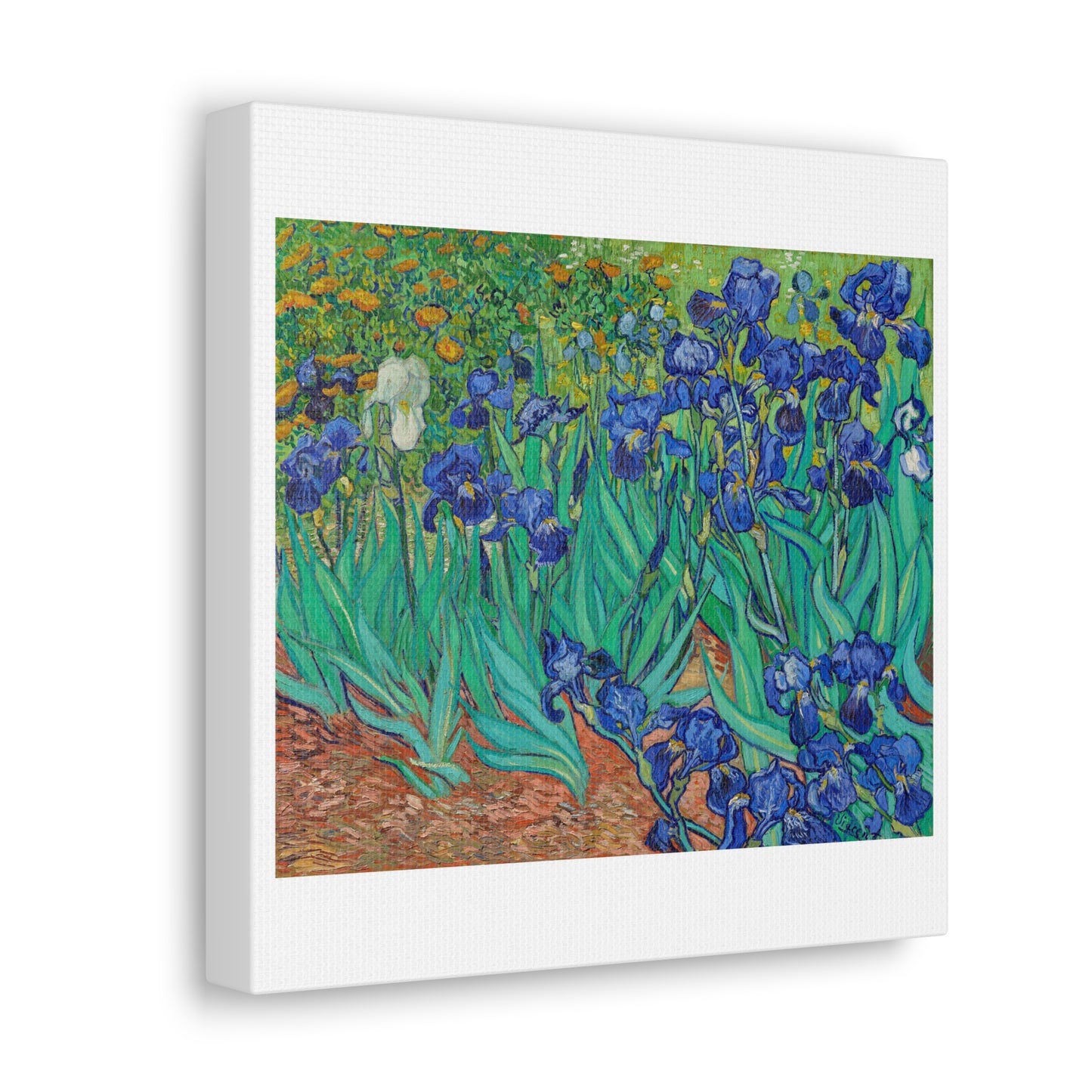 Irises (1889) by Vincent Van Gogh, from the Original, Art Print on Canvas